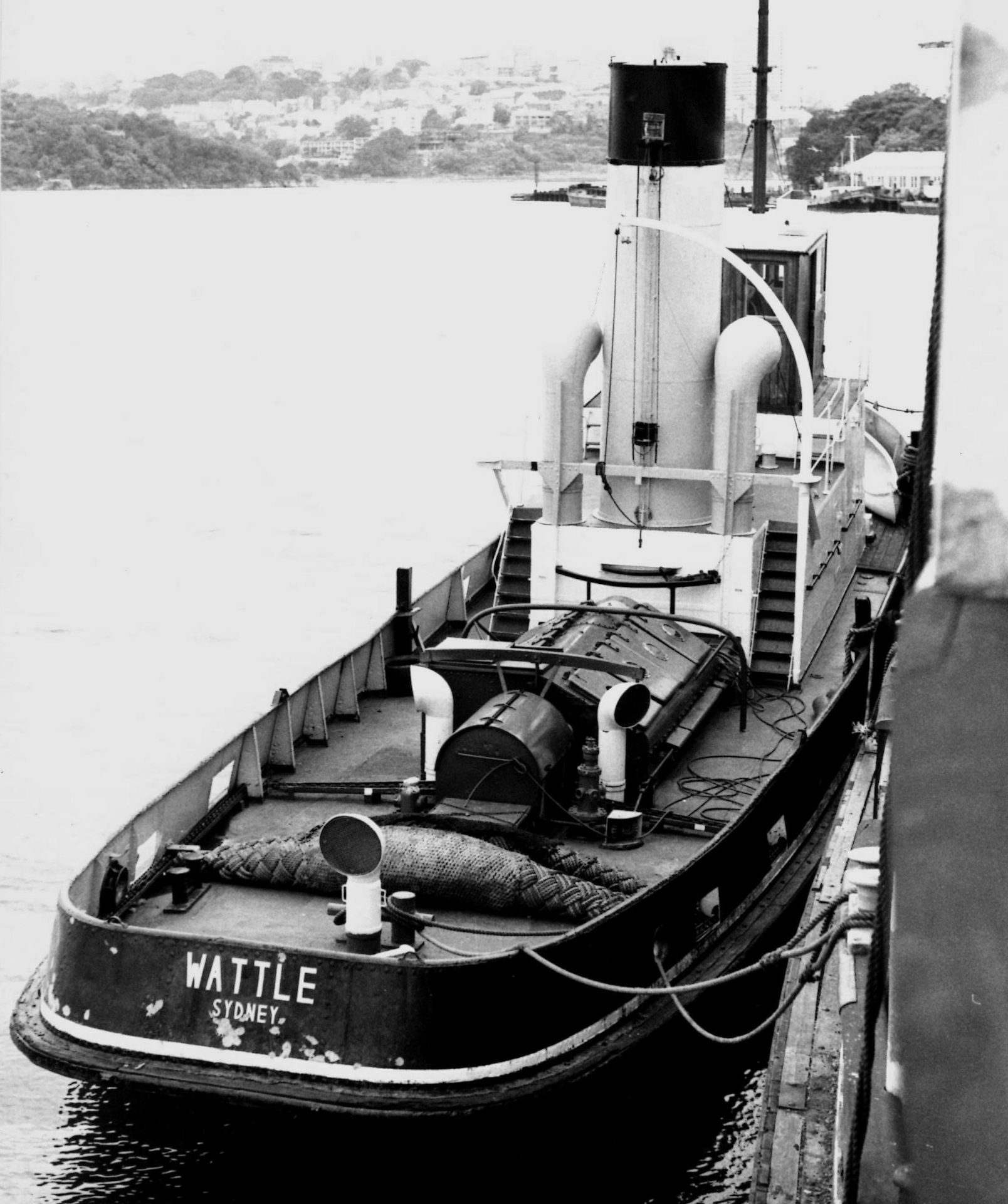 Wattle002Late1970s In the late 1970s, Sydney, Graeme Andrews Collection