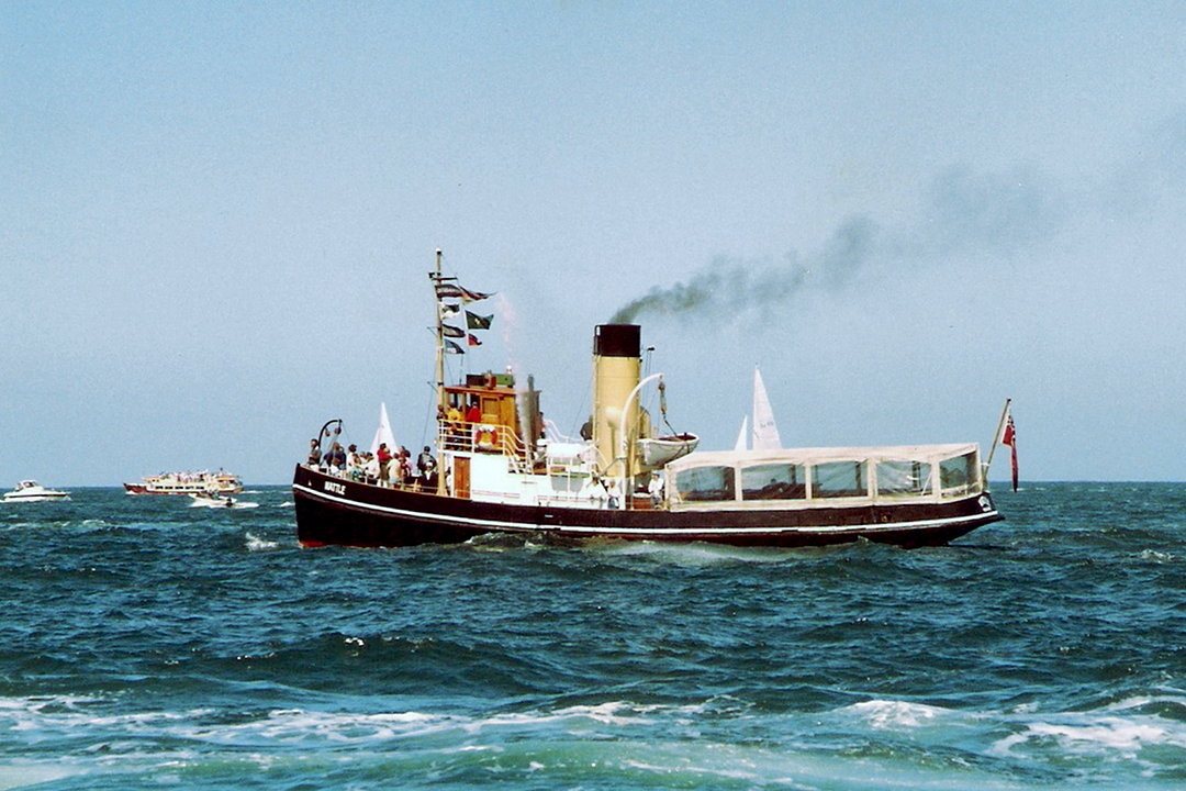 Wattle1988 Newland Wattle 1988, Rob Newland