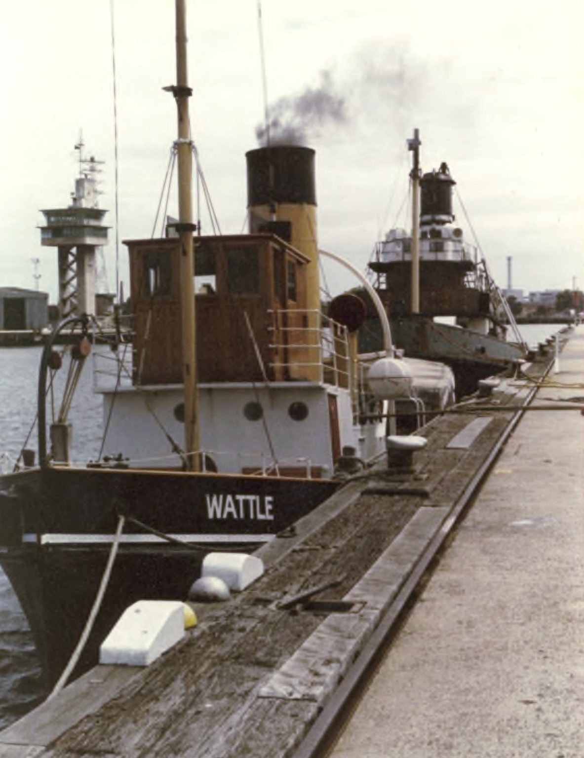 WithLyttletonII Wattle with Lyttelton II 1989, Jeff Malley